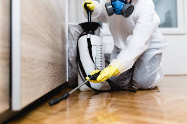 Best Best Pest Control Companies  in Twin Lakes, CA