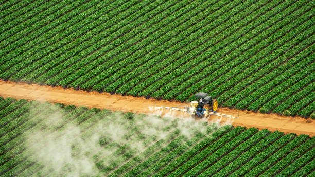 Best Insect Control  in Twin Lakes, CA